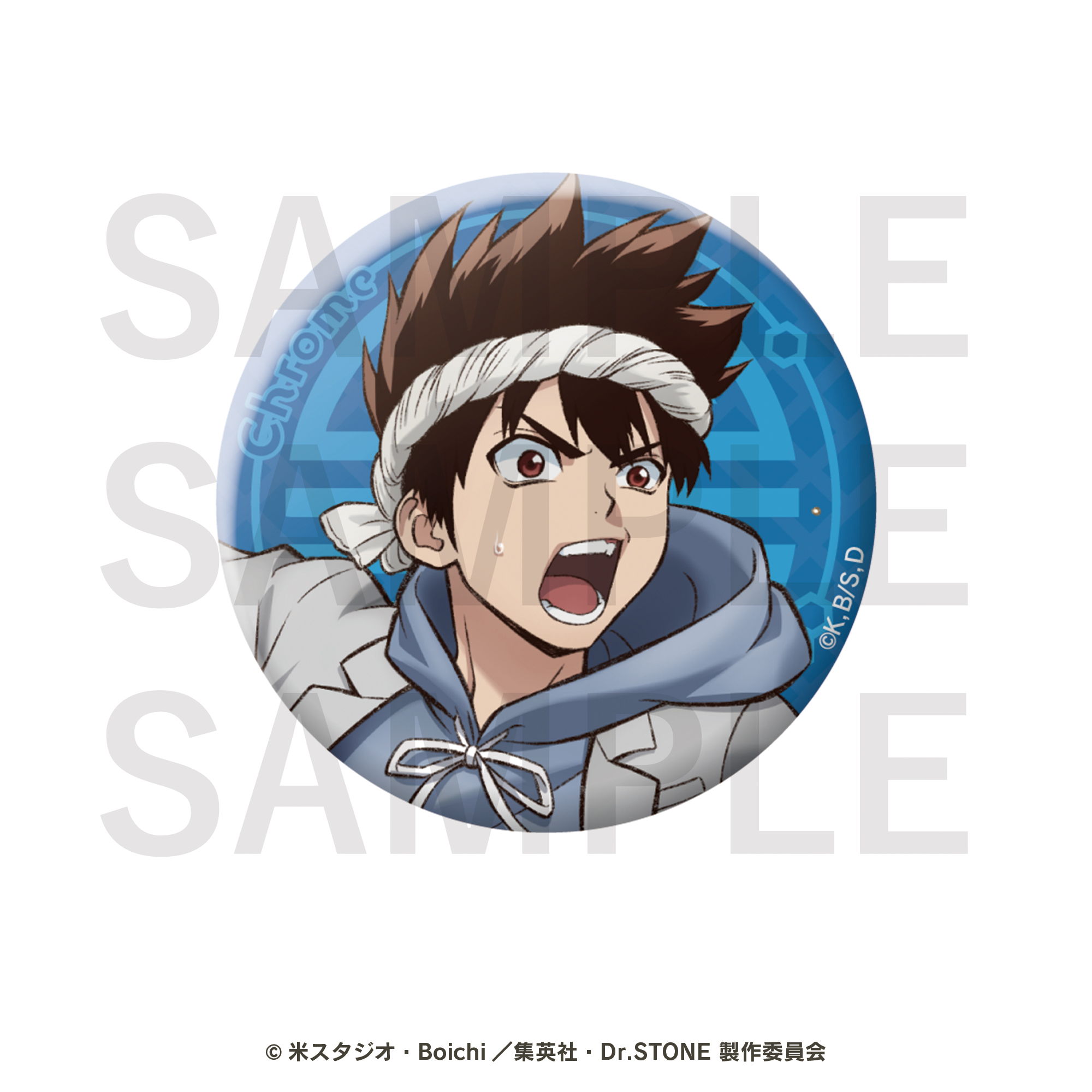 Dr.STONE　トレーディング缶バッジ　全10種BOX