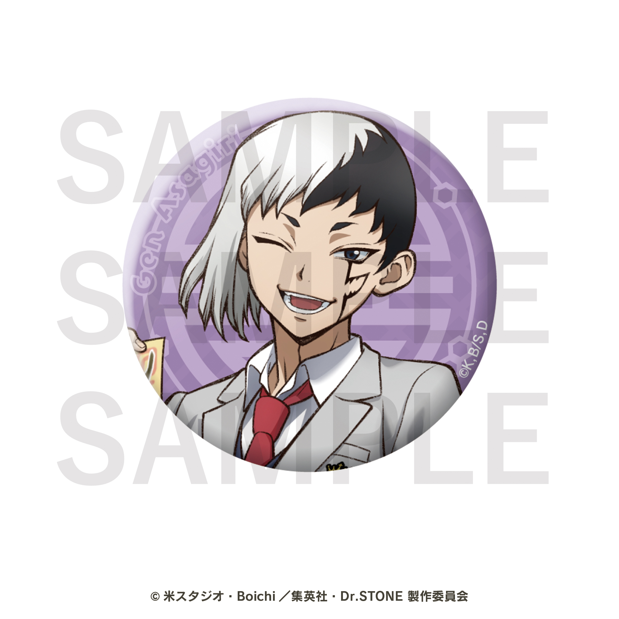 Dr.STONE　トレーディング缶バッジ　全10種BOX