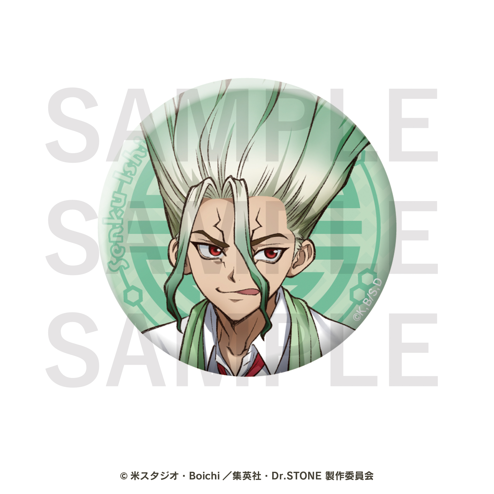 Dr.STONE　トレーディング缶バッジ　全10種BOX