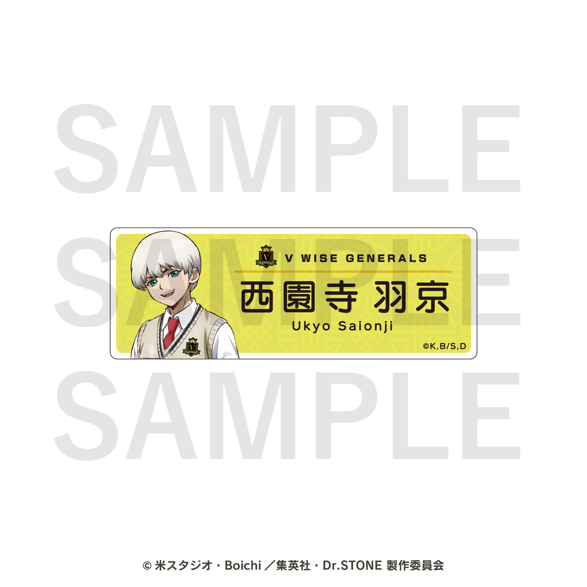 Dr.STONE　トレーディングネームプレート　全5種BOX