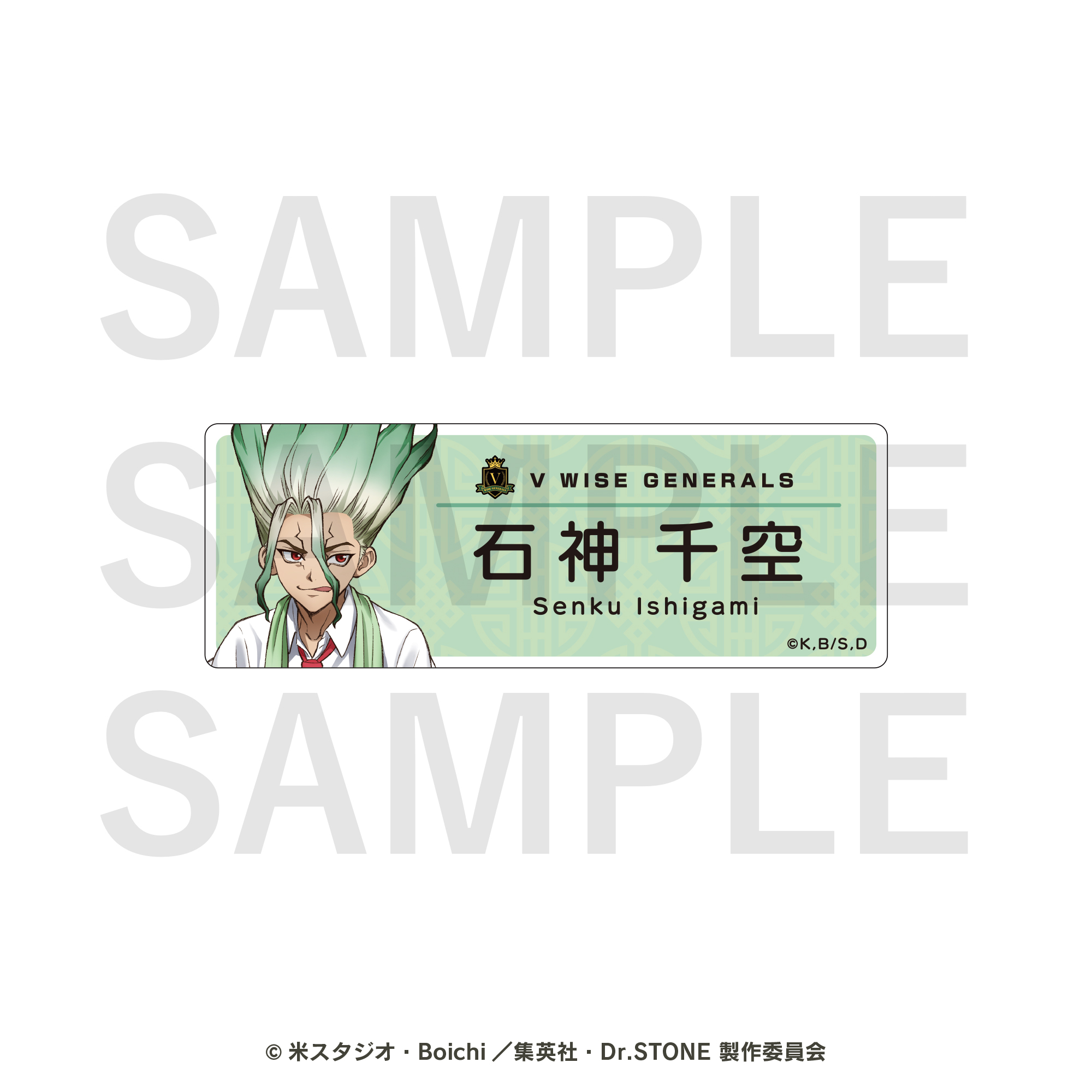 Dr.STONE　トレーディングネームプレート　全5種BOX
