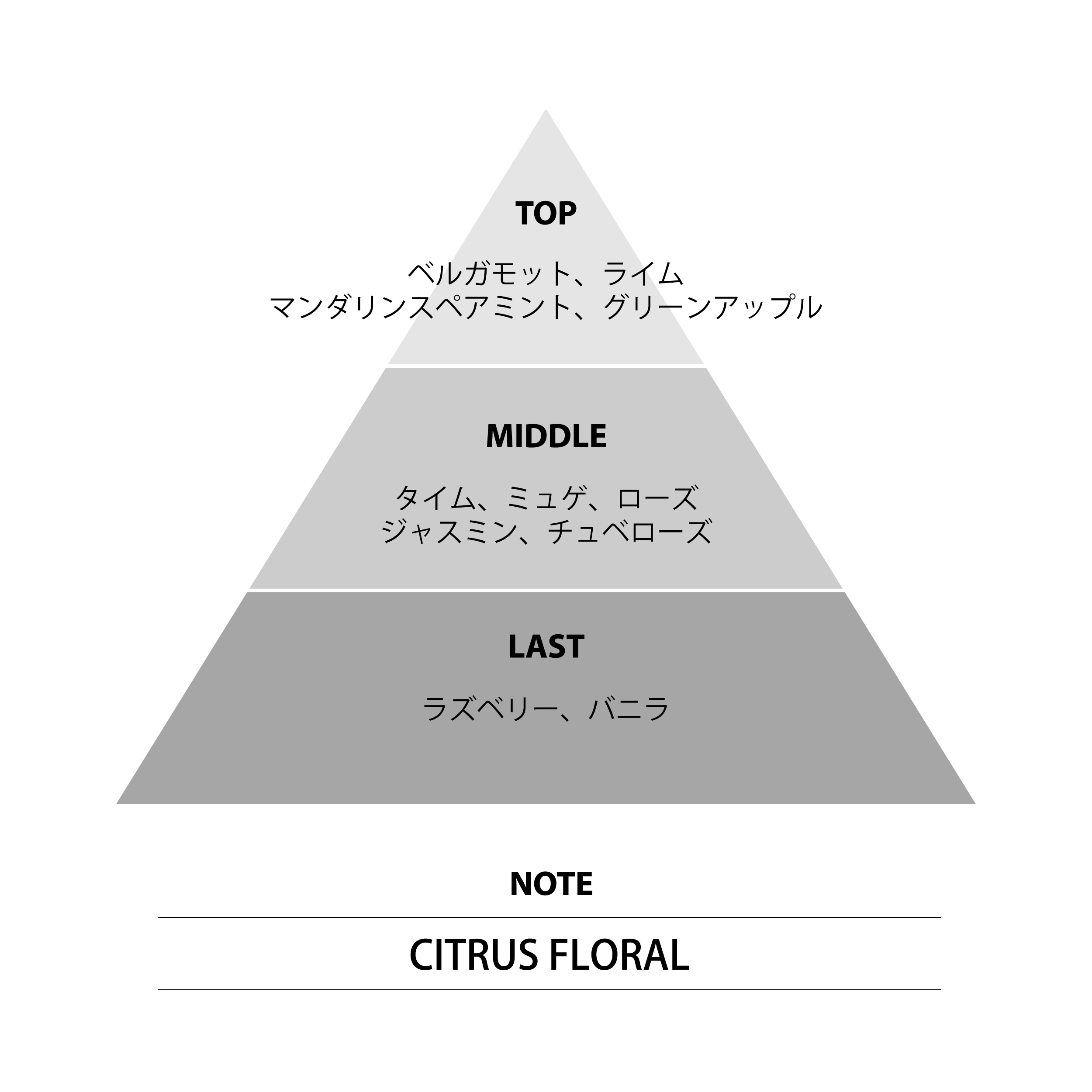 MFゴースト オードトワレ 沢渡光輝